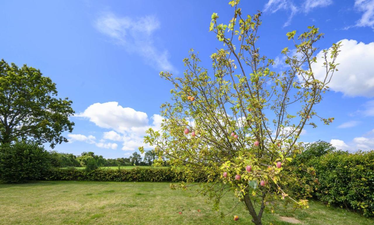 Appledown - Secluded Rural Retreat In Kingsdown, 10 Mins To Beach Kingsdown  Ngoại thất bức ảnh